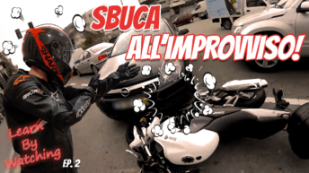 Sbuca all'improvviso e l'impatto è inevitabile