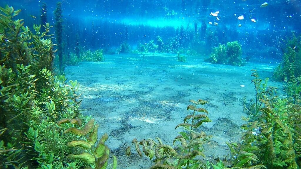 Lago San Giorgio a Liri - sotto Lago San Giorgio a Liri