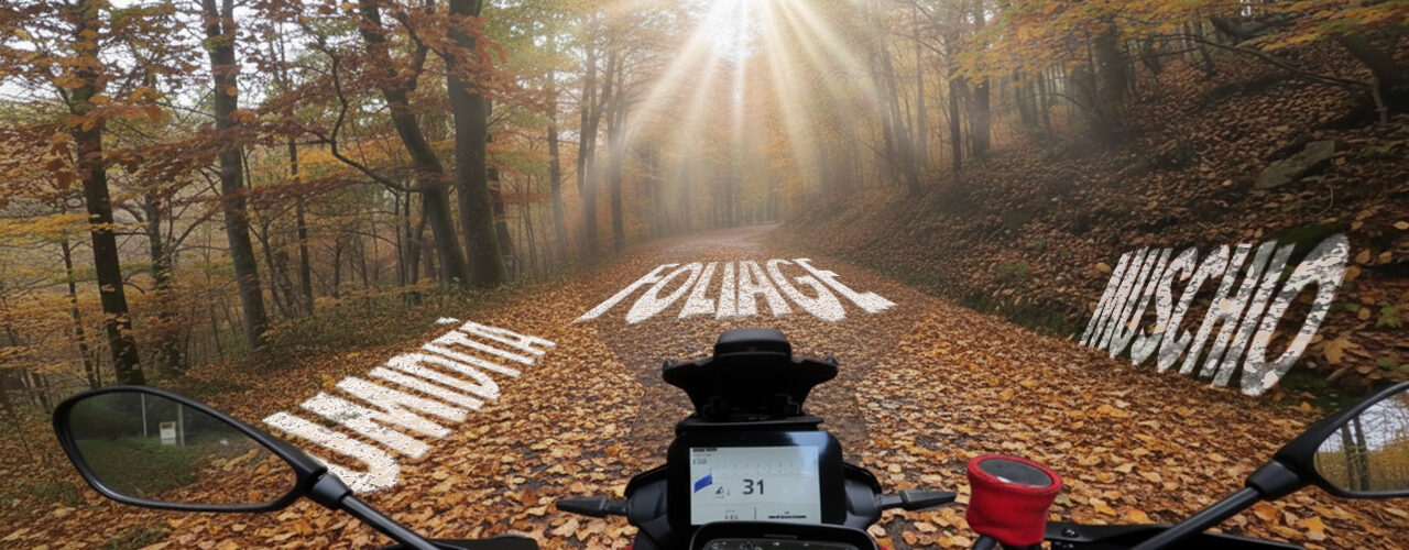 Monte Faito in Moto Nebbia, Curve e Foliage con i Partenopei su Due Ruote